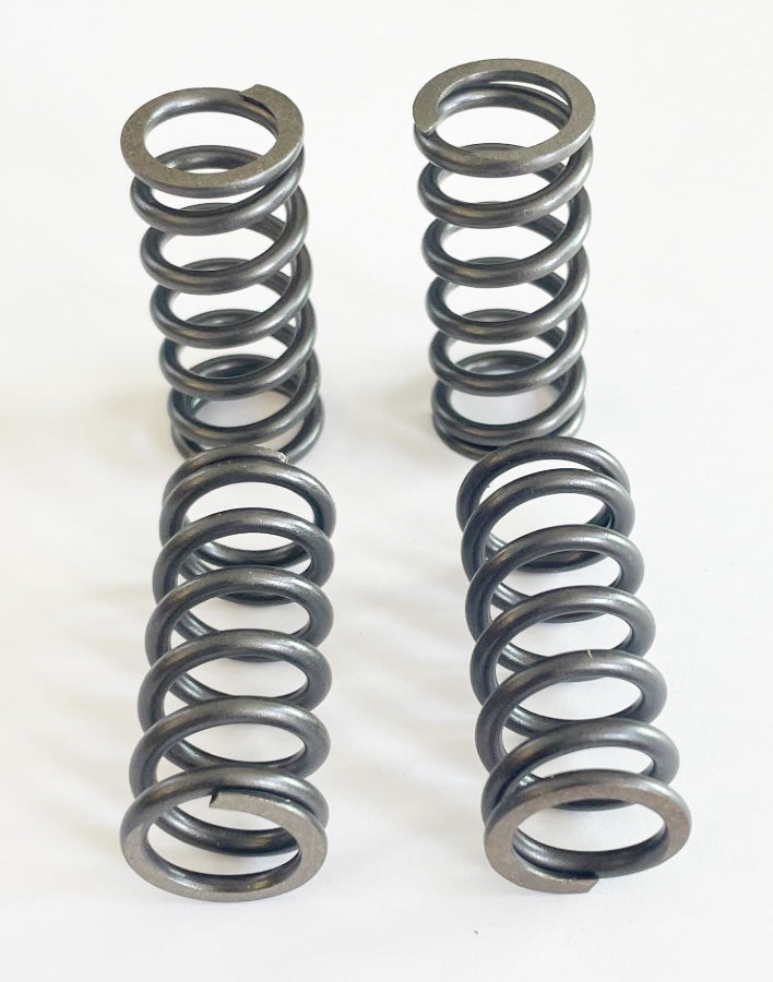 Clutch Spring Kit - XLmotorcycleparts