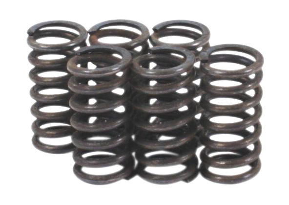 Clutch Spring Kit - XLmotorcycleparts